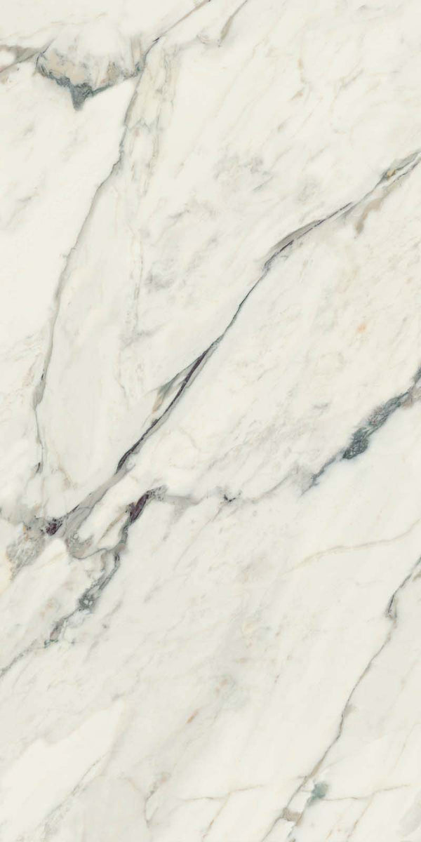 Rondine Canova Breccia Capraia