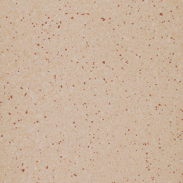 Ragno Galassia Canapa New