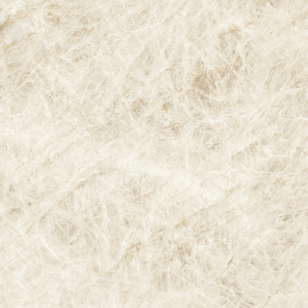 Atlas Concorde Marvel Epic Taj Mahal White