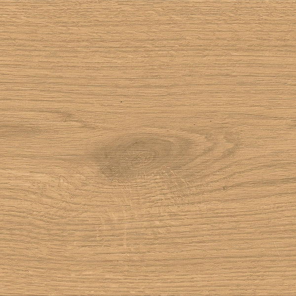 Atlas Concorde Entice Pale Oak Natural Matte Sensitech