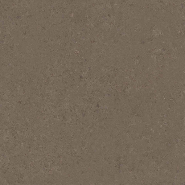 Versace V Stone Brown official