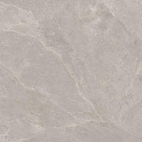 Gardenia Ariana Falaise Grey