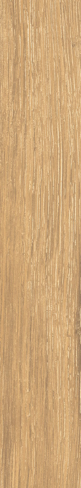Rondine Timeless Honey