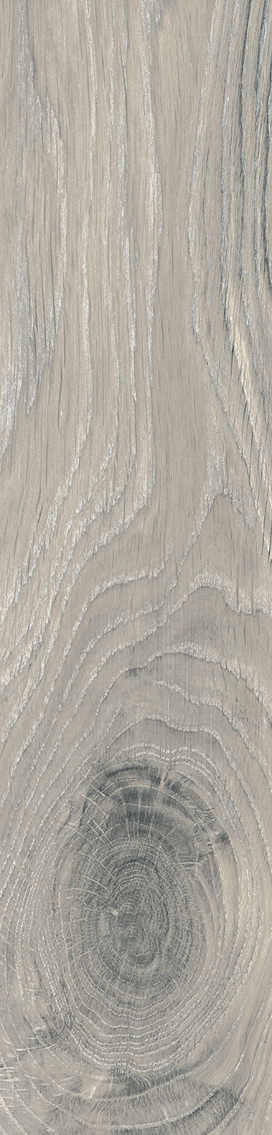 Rondine Timeless Ivory