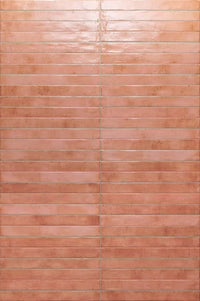 Rondine Colors Salmon