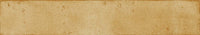 Rondine Graffiti Beige