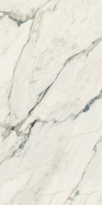 Rondine Canova Breccia Capraia