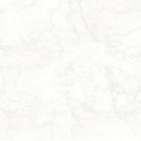 Tagina Mystery White official