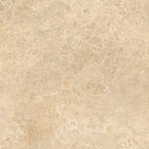 Tagina Pierre D Avignon Beige official