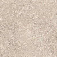 Tagina Pierre D Avignon Gris official