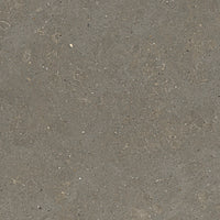 Graniti Fiandre Solida Grey Flamed