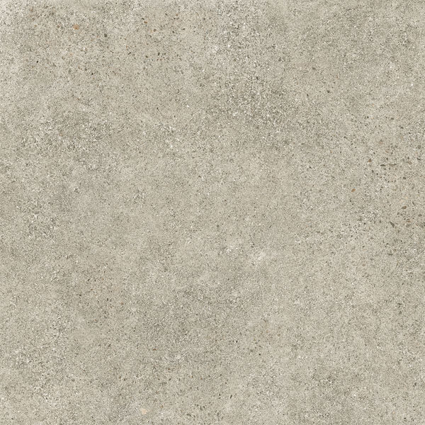 Cerdisa Deep Ash – miniatura ufficiale