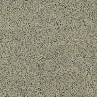 Casalgrande Padana Granito 1 Labrador Antibacterial, texture effetto granito levigata
