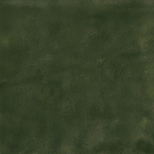 Florim SensiColore Bosco 785998 — minimale ufficiale quadrato 1920×1920