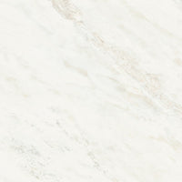Iris Fmg Marmi Maxfine Rhyno Glint