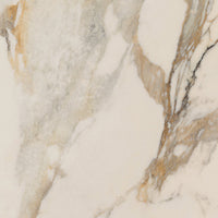 Gardenia Ariana Epoque Ivory — texture ufficiale quadrata 1920×1920