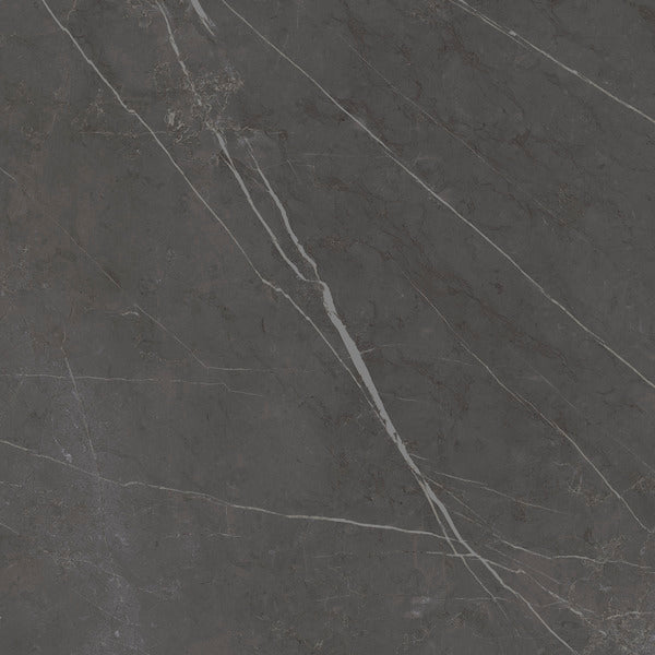 Graniti Fiandre Marble Active Pietra Grey