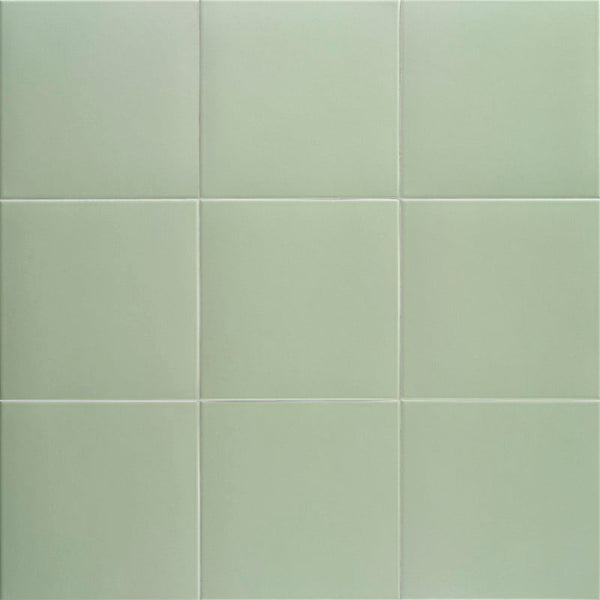 Mainzu Technical Basil