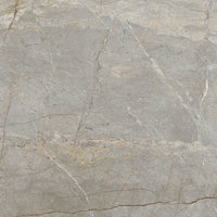 Graniti Fiandre Marmi Maximum Silver Root
