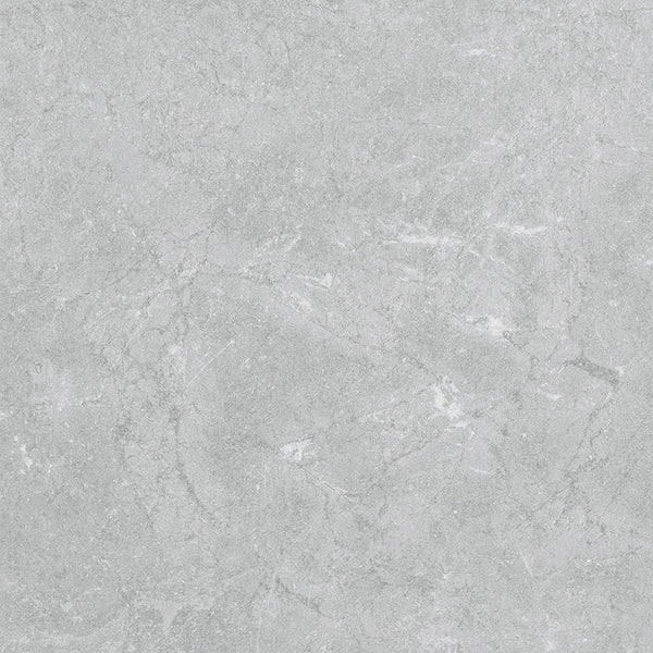 Pamesa Constanza Gray 017.077.0002.024948