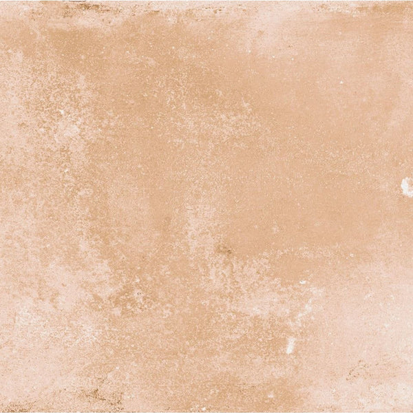 Ragno Epoca Rosa