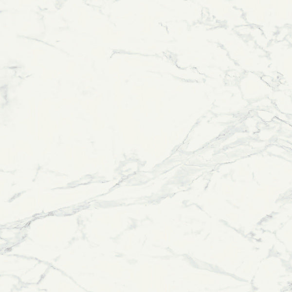 Ragno Imperiale Bianco