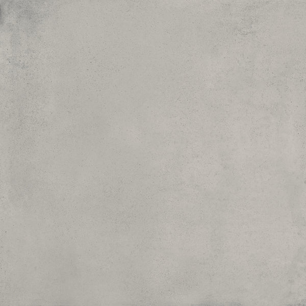 Ragno Replace Grigio C2 R10