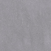 Ragno Viaggi Nickel