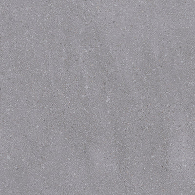 Ragno Viaggi Nickel
