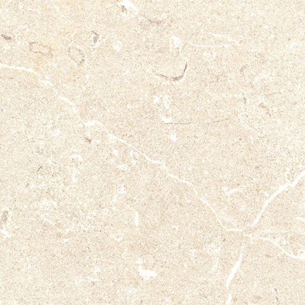 Ragno Viaggi Ivory