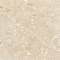 Ragno Viaggi Sand