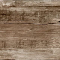 Ragno Woodmania Musk
