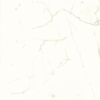 Iris Fmg Marmi Maxfine White Calacatta Silky