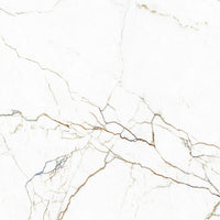 Tagina Segesta Caramel official