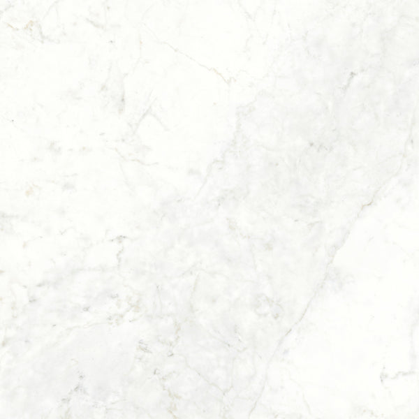 Ariostea Ultra Marmi Grey Marble