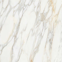 Apavisa Borghini White Polished