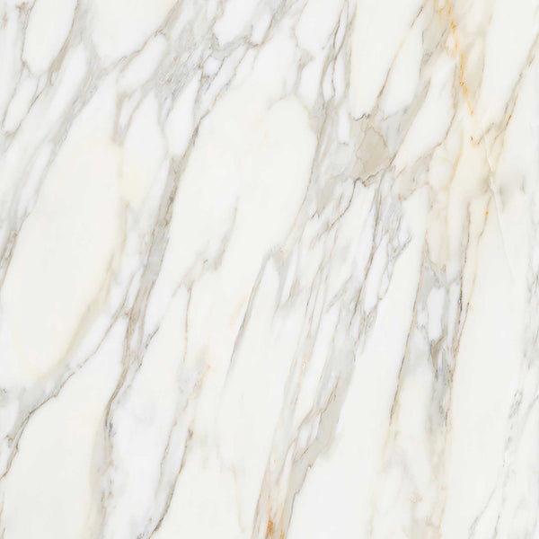 Apavisa Borghini White Polished