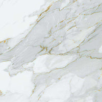 Apavisa Calacatta Gold Natural