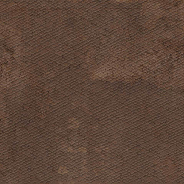 Apavisa Zinc Copper Skin